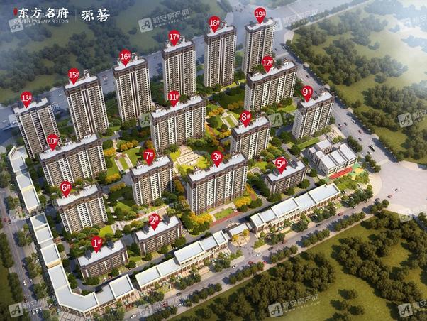 明光東郡最新動(dòng)態(tài)，友情的綻放與家的溫馨日常