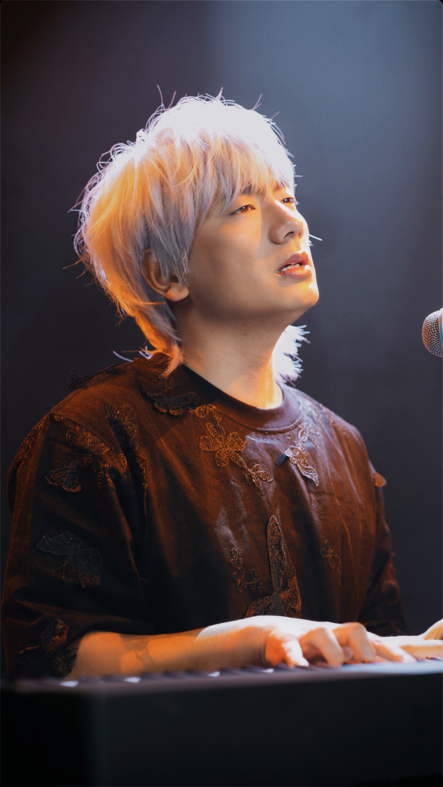 冷漠2024最新預(yù)告新歌，音樂(lè)與時(shí)代交融的期待之聲