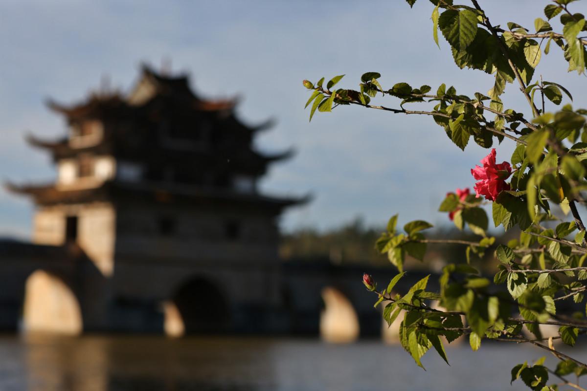 大冰最新力作，智能生活新紀(jì)元——科技與生活的完美融合