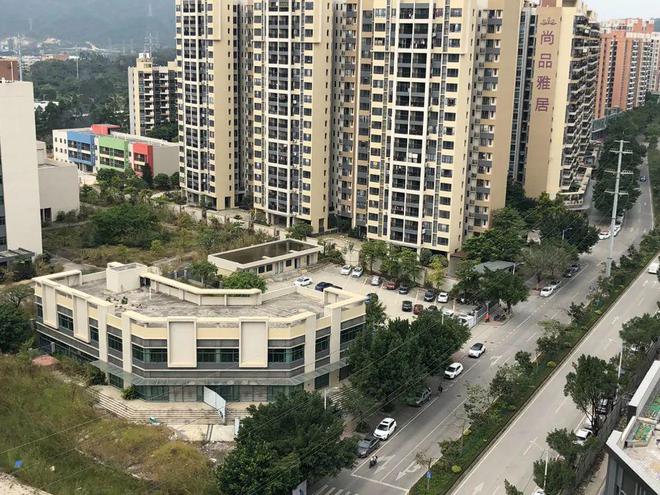 膠南山水雅居最新動態(tài)，鄰里日常趣事與情感紐帶分享