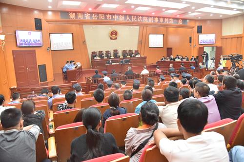 聶祖峰最新探索之旅，自然美景中的心靈尋覓與平和之境