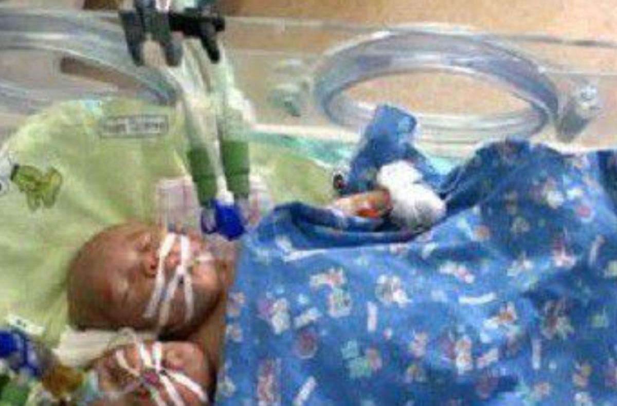 雙頭姐妹，時(shí)代背景下的傳奇故事最新進(jìn)展