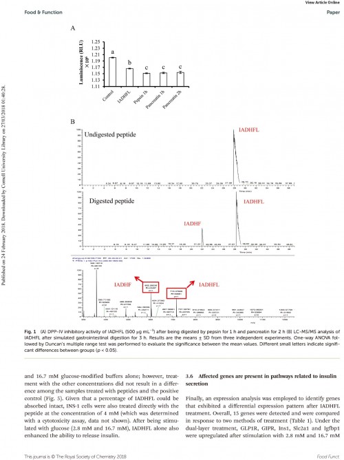 糖肽最新文獻(xiàn)，自然之旅的心靈探尋之旅，尋找內(nèi)心的寧?kù)o
