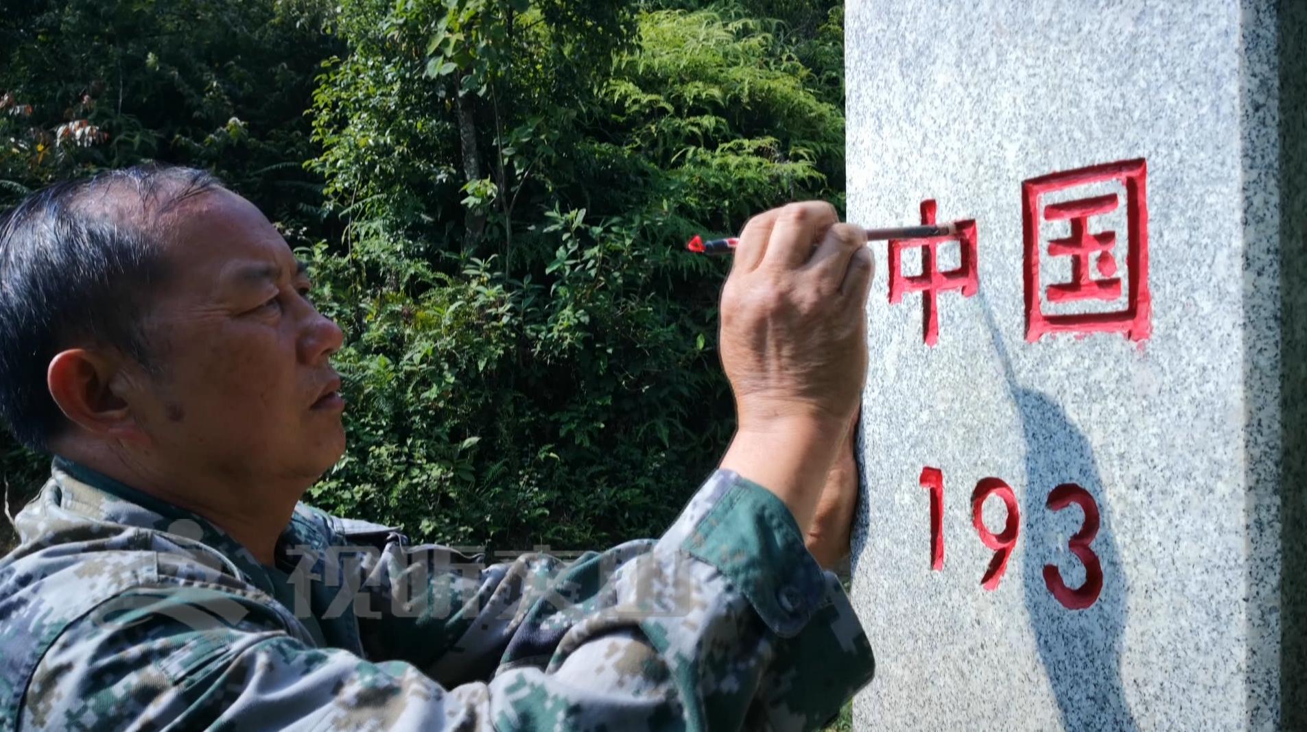 文山黃牛打架比賽，傳統(tǒng)與爭(zhēng)議的碰撞