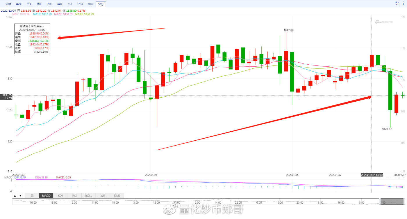外匯今日行情，市場波動(dòng)與溫馨故事交織的旅程