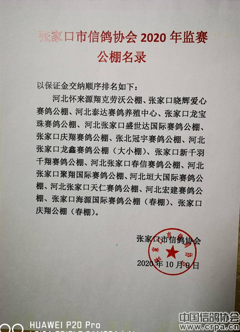 東光信鴿協(xié)會(huì)最新通告，小巷深處的獨(dú)特風(fēng)味揭秘與信鴿活動(dòng)更新通知