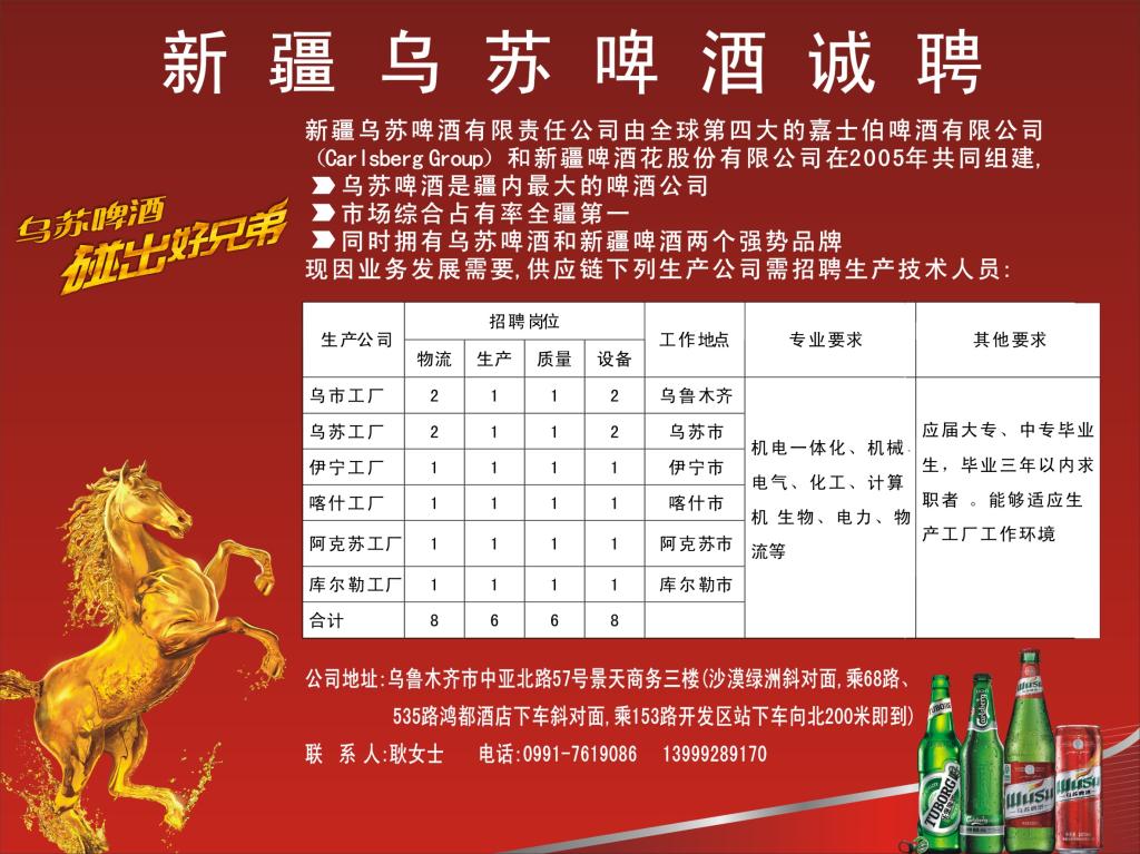 烏蘇政府最新招聘公告，應聘指南全解析