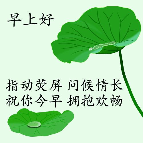 最新疫情動態(tài)下的自然探索之旅，追尋內(nèi)心的平和與寧靜