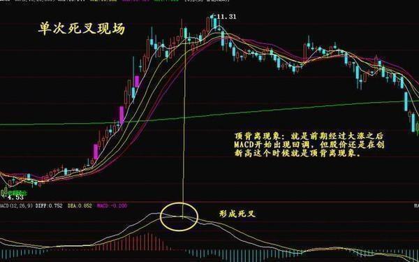 科技前沿與股票新紀(jì)元，最新高科技產(chǎn)品體驗(yàn)介紹與股票解析