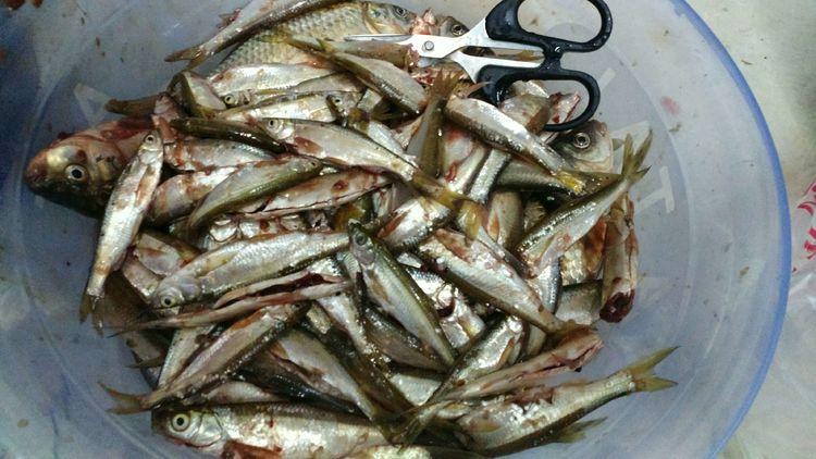 昆明最新野釣地點(diǎn)探索，重拾生活激情與自信的自然之旅