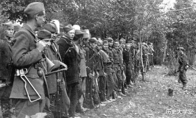 南斯拉夫電影二戰(zhàn)老片，自然美景背后的探索之旅