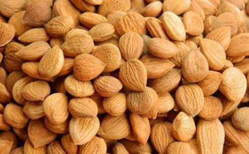 苦杏仁行情深度解析，背景、事件與地位探究