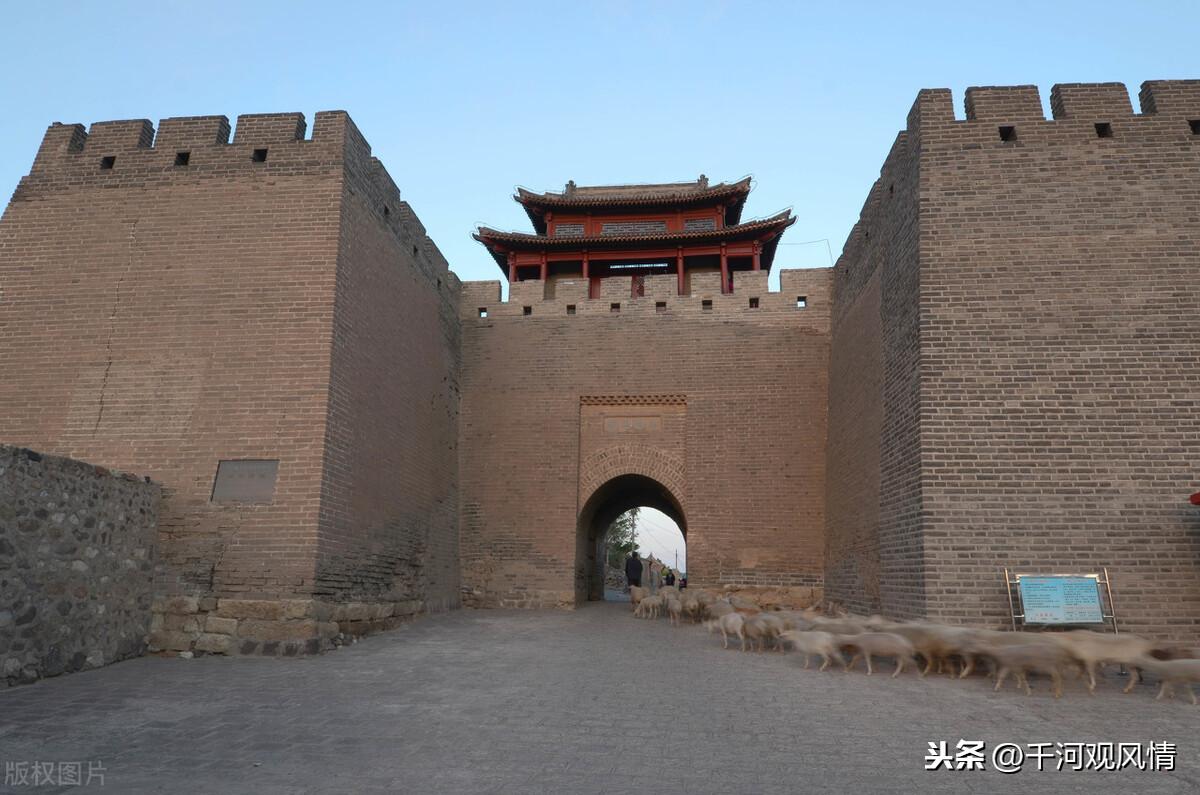 一夜談加急版最新熱點(diǎn)話(huà)題深度探討夜談紀(jì)實(shí)