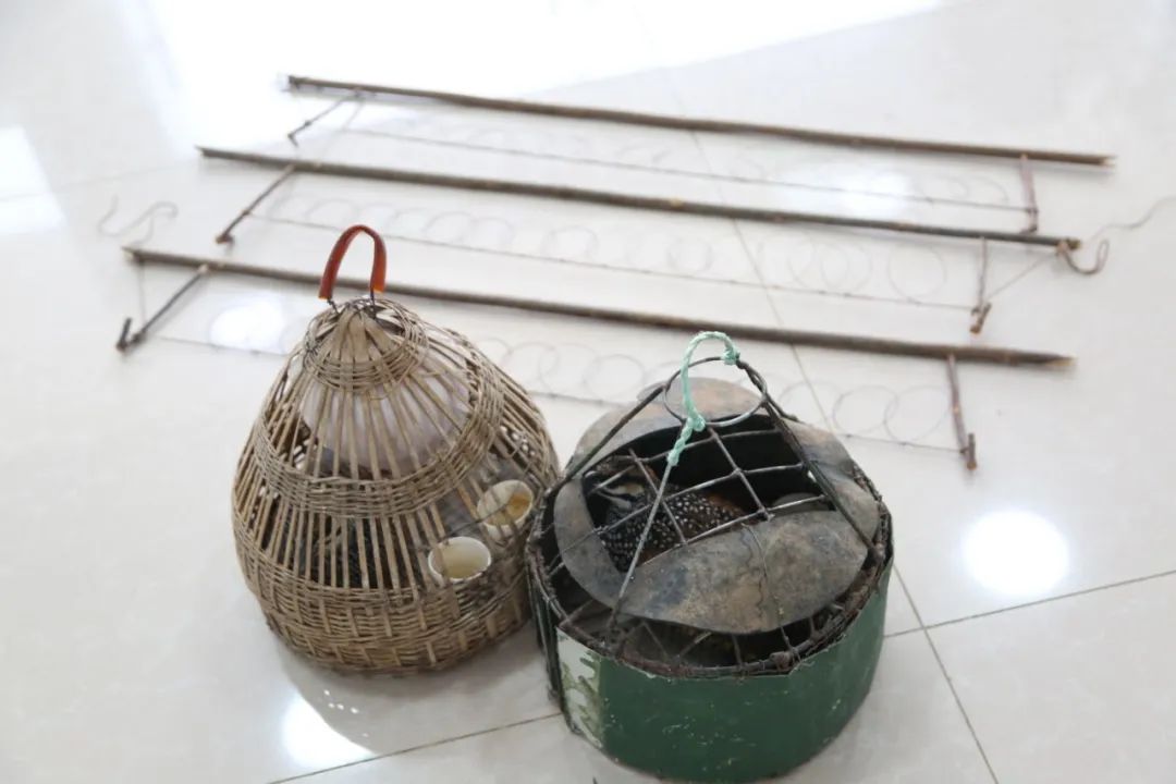 小巷中的神秘寶藏揭秘，最新捕鳥工具揭秘