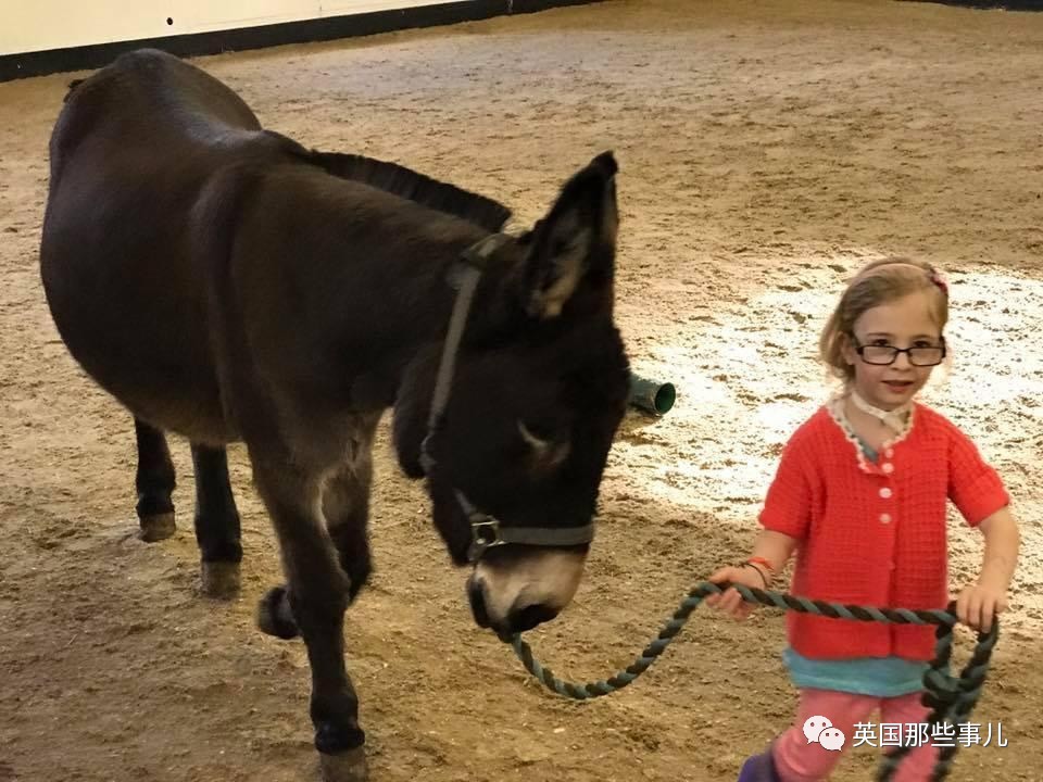 二驢子最新事件揭秘，事件全貌大揭秘！