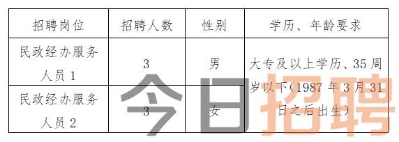 慶陽最新招聘揭秘，小巷中的特色小店，探索未知寶藏的職場之旅