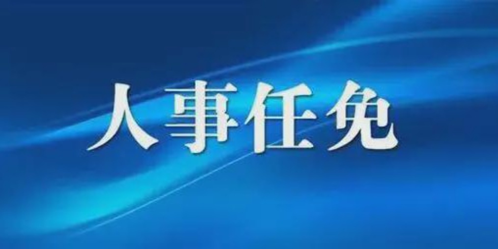 成都人事任免背后的故事，小巷獨(dú)特風(fēng)味小店與城市的脈動