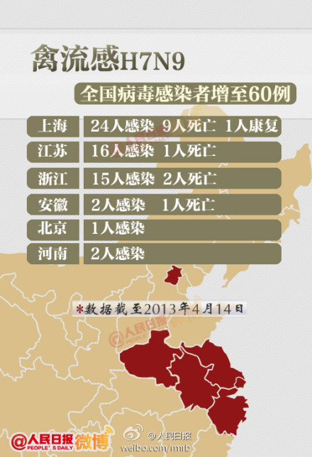 山東禽流感最新動(dòng)態(tài)，友情與陪伴的溫馨故事