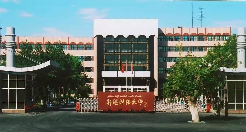 財經(jīng)快訊揭秘，小巷深處的寶藏小店今日新動態(tài)