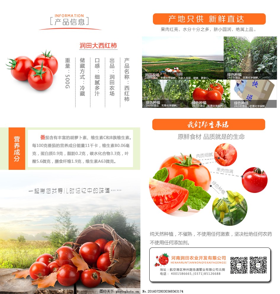 安徽西紅柿產地探秘，自然美景與鮮美西紅柿的邂逅之旅