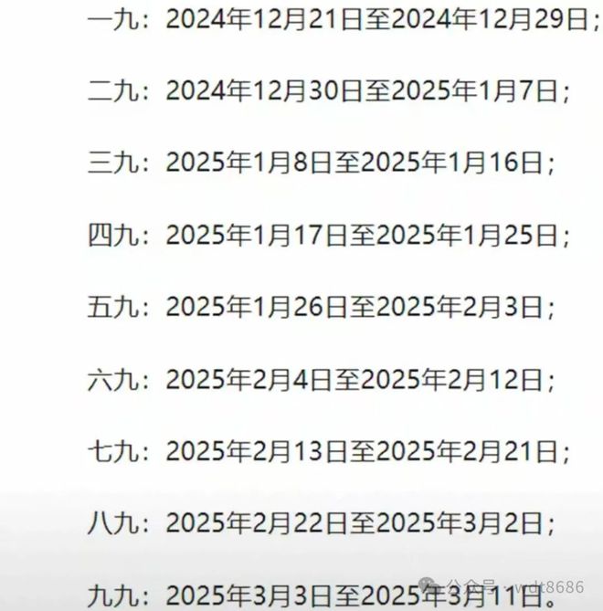 最新久久網(wǎng)2025，友情小船與溫馨日常的交織