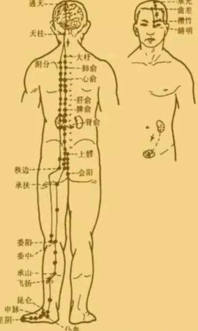 最新經(jīng)絡(luò)操，探索古老奧秘，重塑健康身姿