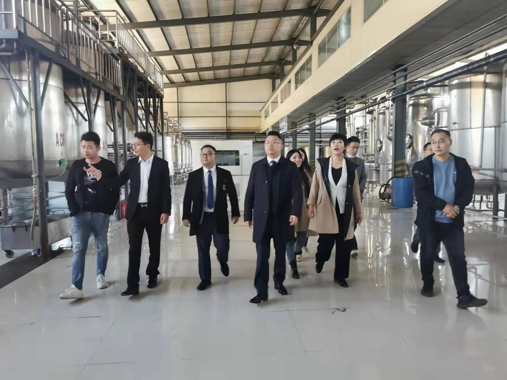 鼎恒升最新動(dòng)態(tài)，追溯特定領(lǐng)域的發(fā)展歷程與重要地位