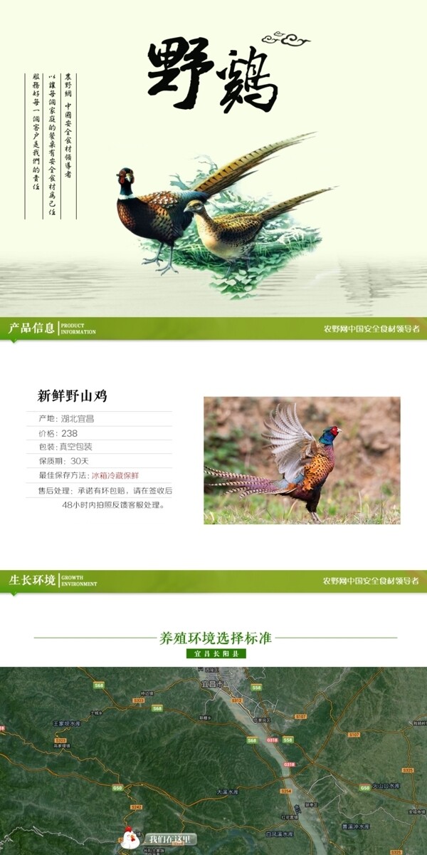 深度剖析，最新山雞的背景、事件與地位概述