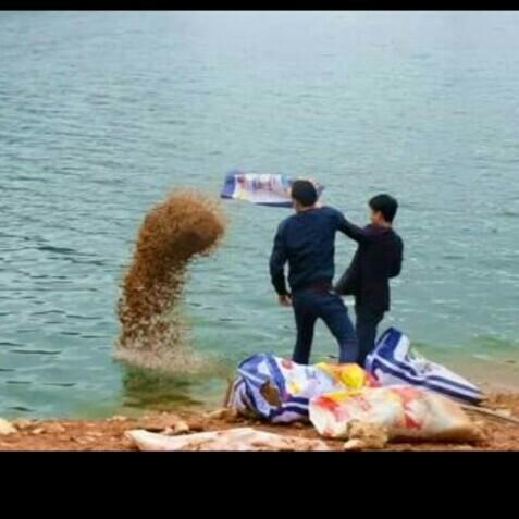 科學釣魚最新探索，學習與實踐的成就感之旅