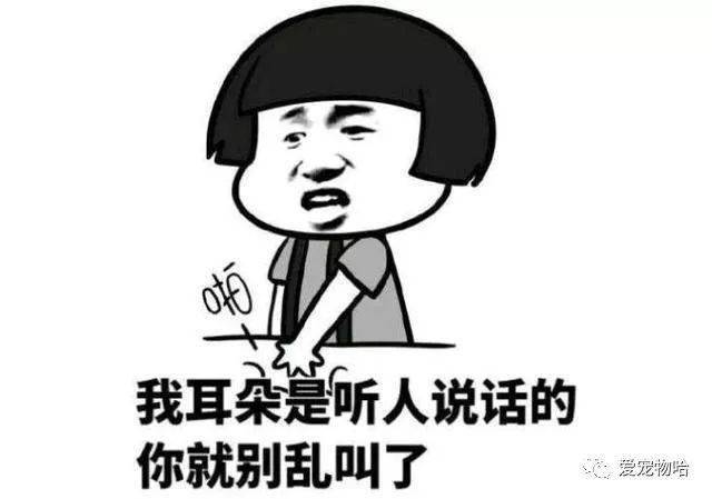 最新枕邊笑話，科技小寶貝，生活添樂趣