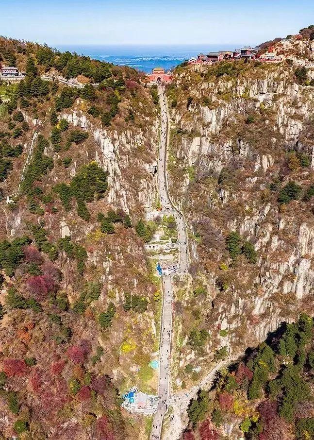 泰山最新聞，觀點(diǎn)與立場(chǎng)的深度探討