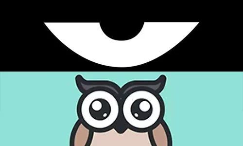 最新積目，全面解讀與觀點(diǎn)闡述