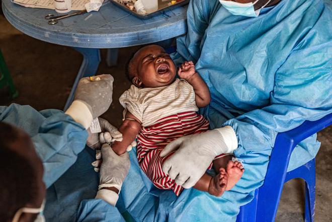 本土感染最新情況，自然美景中的探索之旅