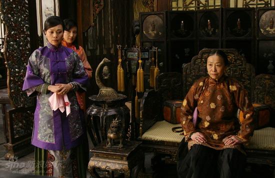 鐵梨花最新更新，日常生活中的趣事與情感紐帶