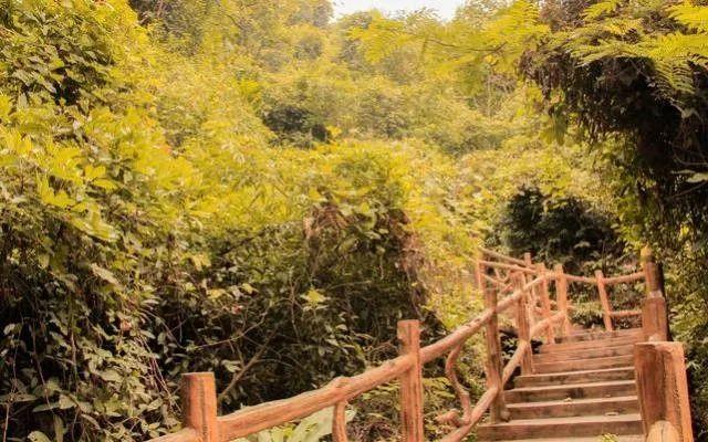 小99最新，科技、生活與娛樂(lè)的交融之地