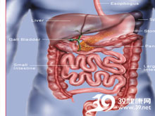 高科技產(chǎn)品重塑生活，體驗(yàn)前沿魅力，探索腸鳴最新技術(shù)