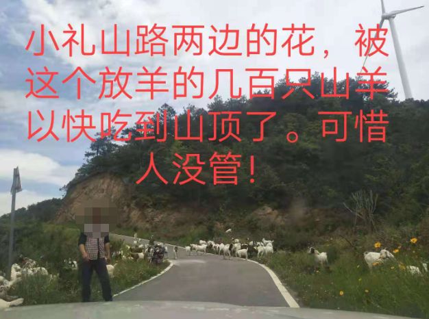 大悟最新路，探索未知，自信成就夢想之旅的啟程