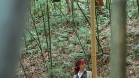 原野小年最新風情，小巷深處的獨特魅力