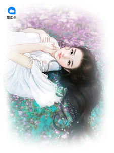 最新豪婿，小巷深處的獨(dú)特風(fēng)情