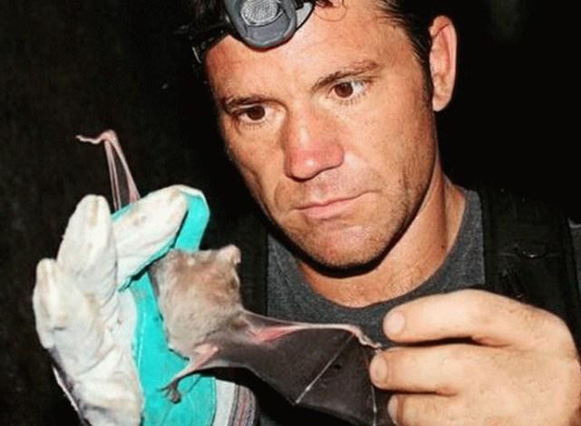 蝙蝠最新電影，自信與成長的翅膀，勵志翱翔天空之旅