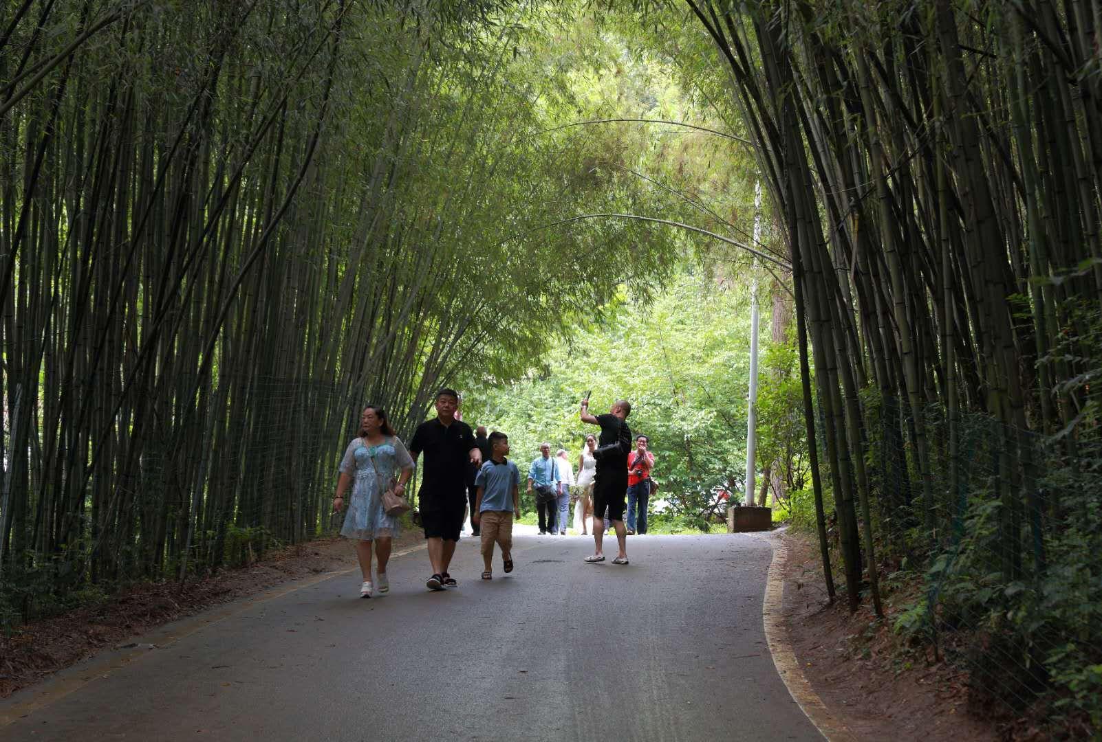 全家最新優(yōu)惠攻略，一步步教你享受最大優(yōu)惠折扣！