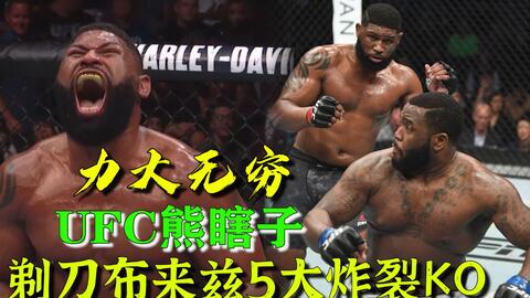 小菊最新比賽，友誼與夢(mèng)想的絢爛綻放