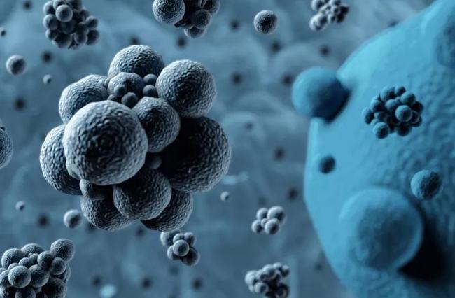 病毒擴(kuò)散最新情況，自然探險(xiǎn)之旅尋求內(nèi)心平和之地