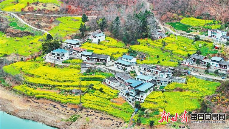 揭秘文縣，歷史背景、重大事件與時代地位全景展示