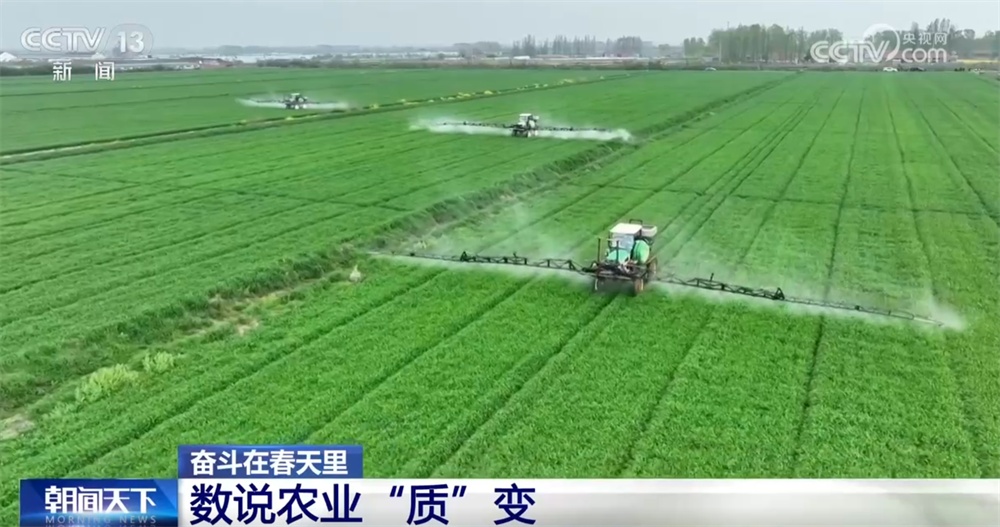 最新農(nóng)業(yè)農(nóng)村發(fā)展，播種希望，收獲自信與成就感