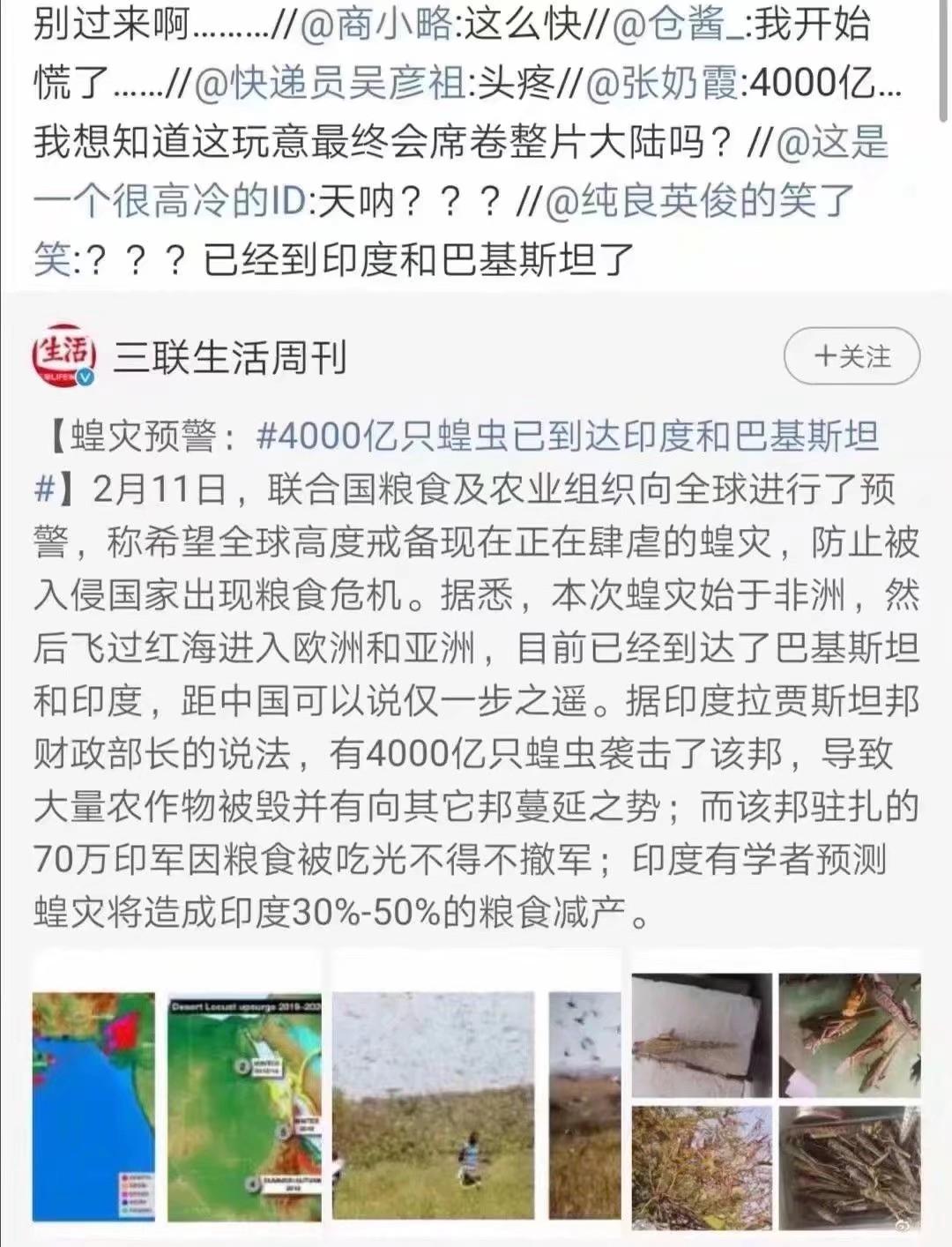 蝗蟲最新動態(tài)，防治與監(jiān)測的全面指南