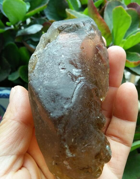最新鑒定法，揭示友情的印記與家的溫馨
