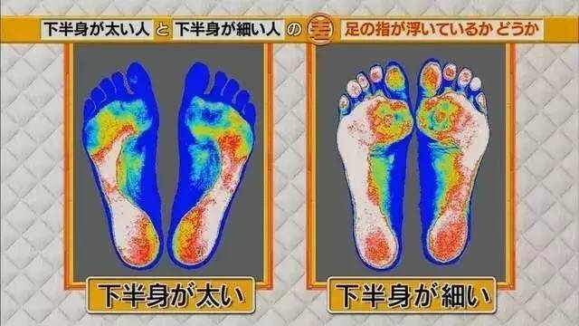 最新地趾論述，探索、爭(zhēng)議與觀點(diǎn)綜述