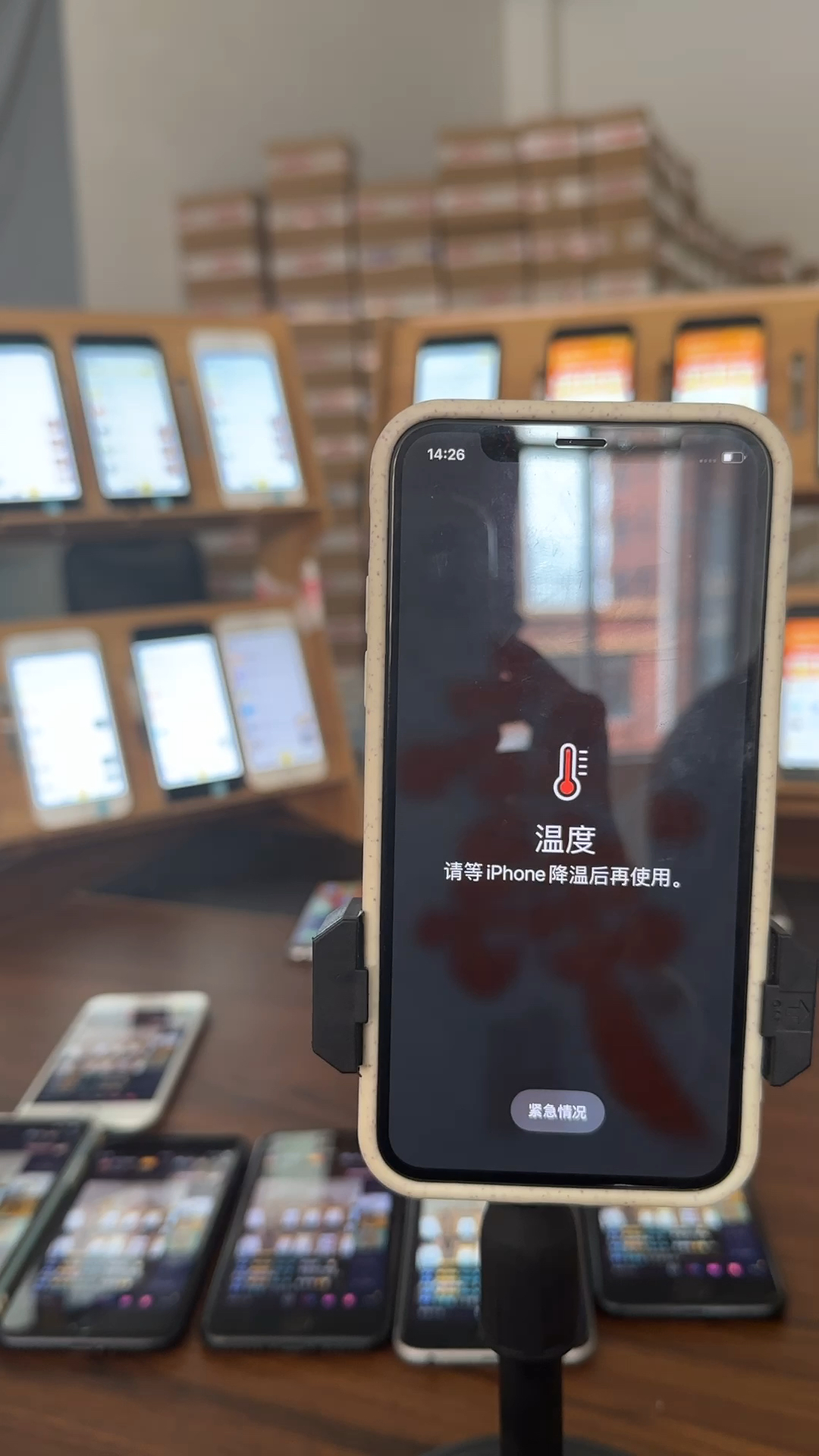 蘋(píng)果最新直播，科技與文化的完美融合盛宴