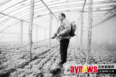 最新農(nóng)藥抽檢結(jié)果出爐，守護(hù)農(nóng)田安全，你我他的共同責(zé)任